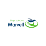 marvell